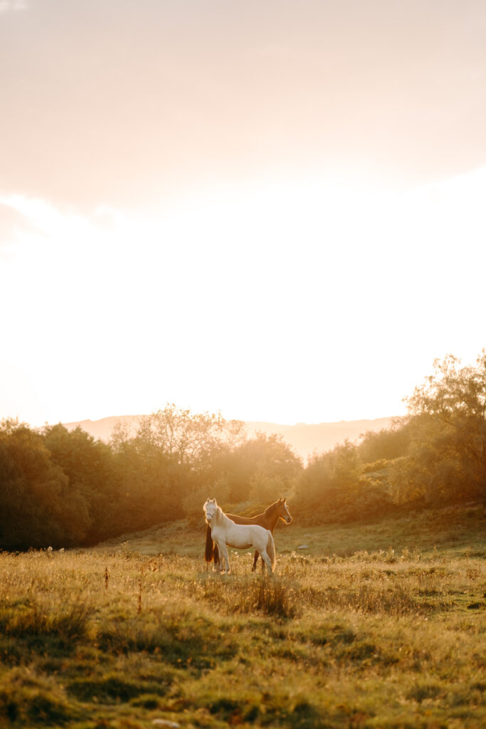 golden hour, sunset wedding photography at moel findeg in north wales