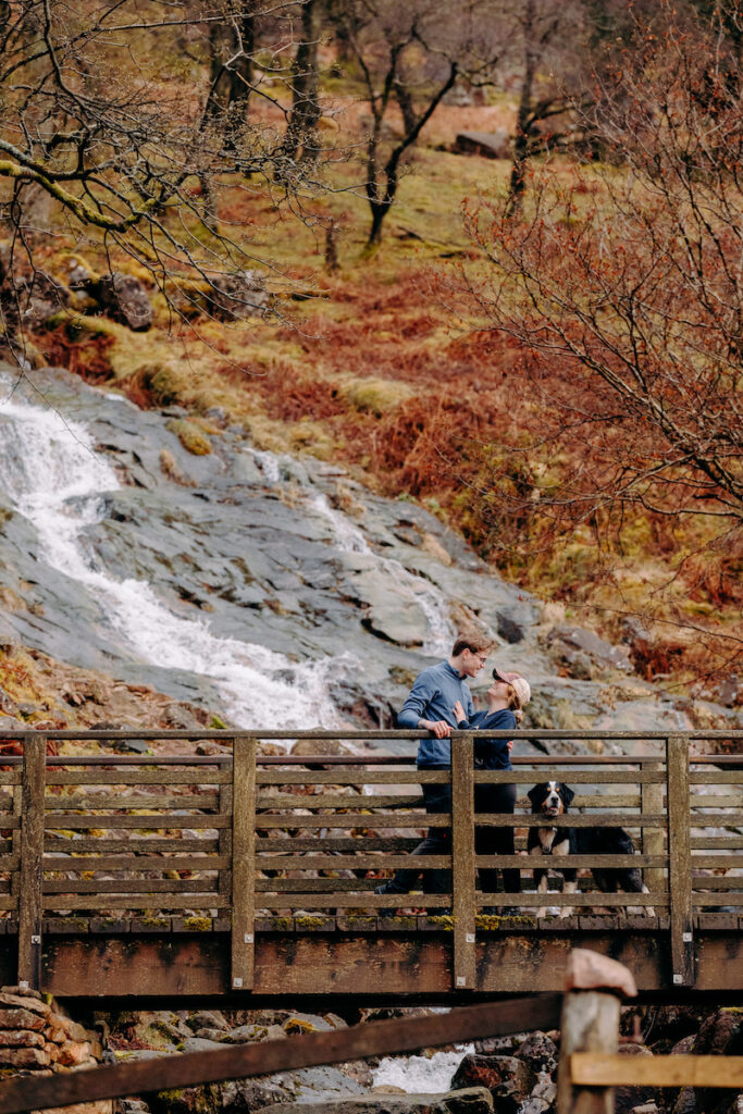 lake district pre-wedding photoshoot with bernese mountain dog