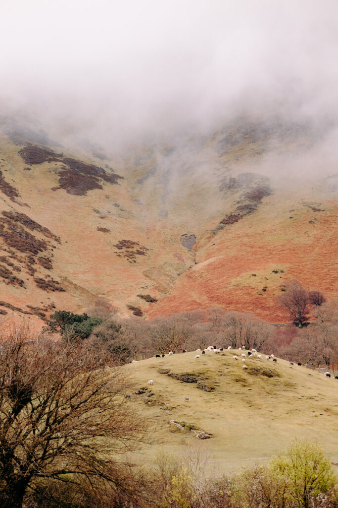 lake district natural engagement photography