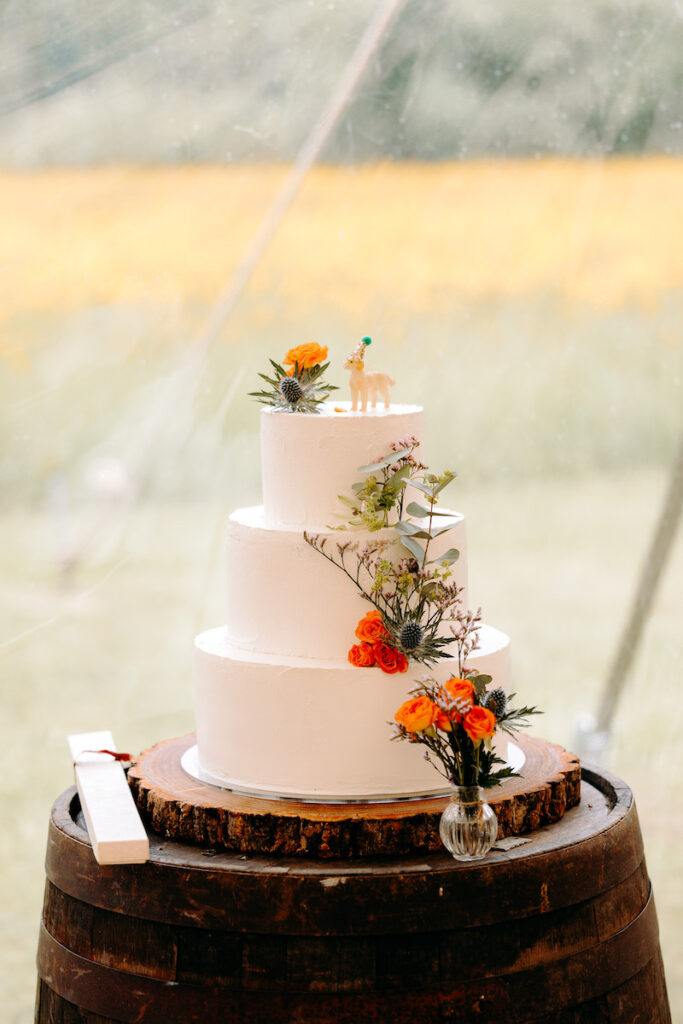 Eyam Hall Wedding Photography