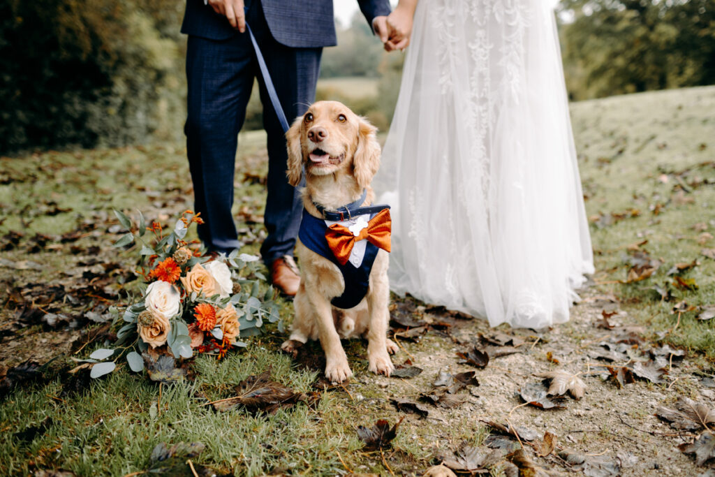 dog friendly wedding venue in derbyshire, the white hart inn