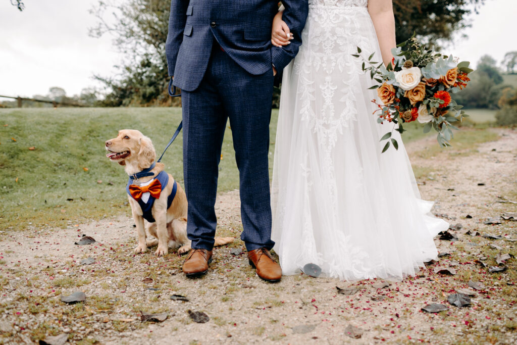 dog friendly wedding venue in derbyshire, the white hart inn
