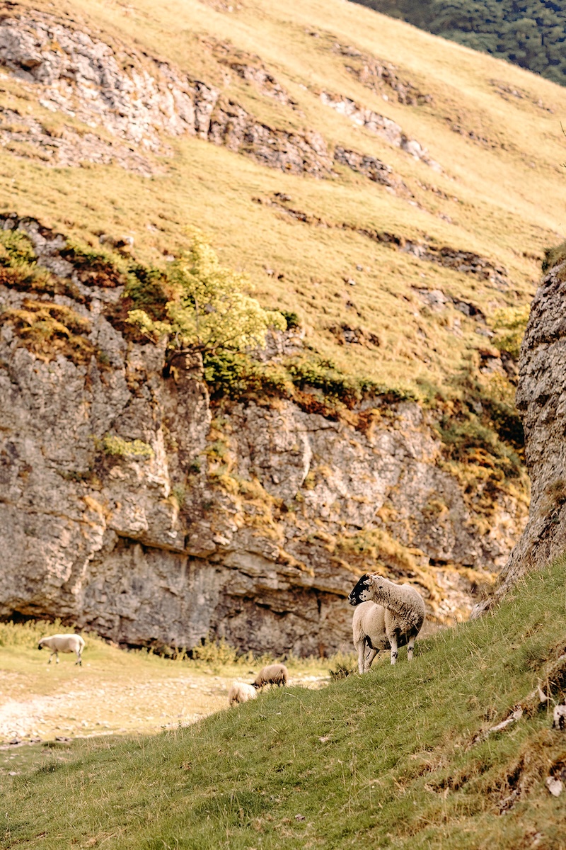 Narrow footpath through steep limestone walls leading to the couple’s secluded Peak District elopement ceremony spot.