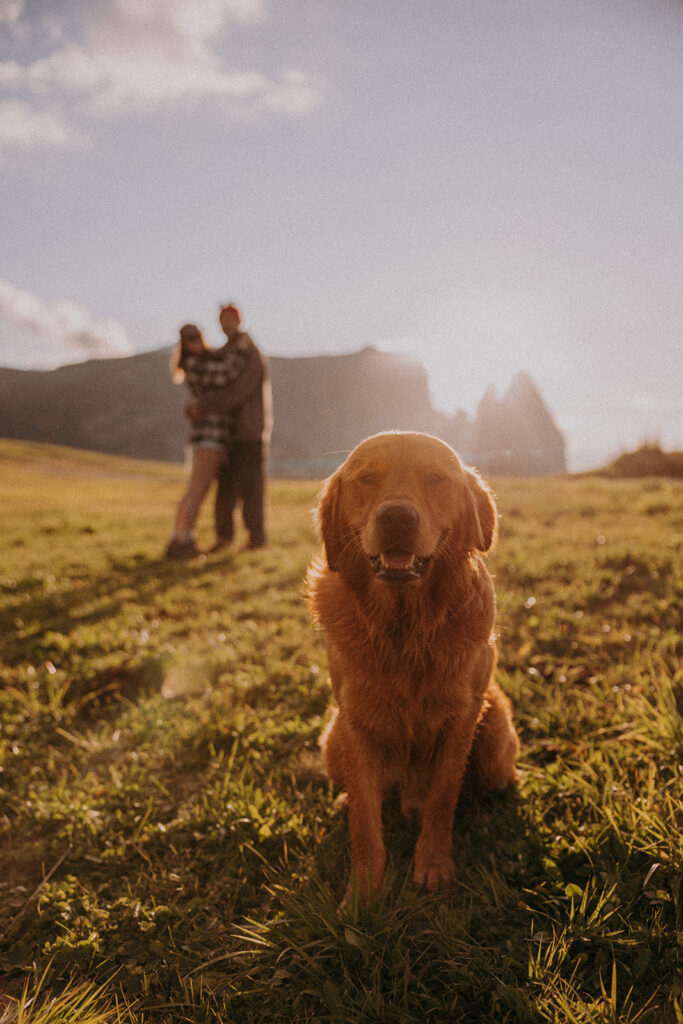 Dog sitting patiently during adventure couple photoshoot in Alpe di Siusi with Dolomite peaks behind