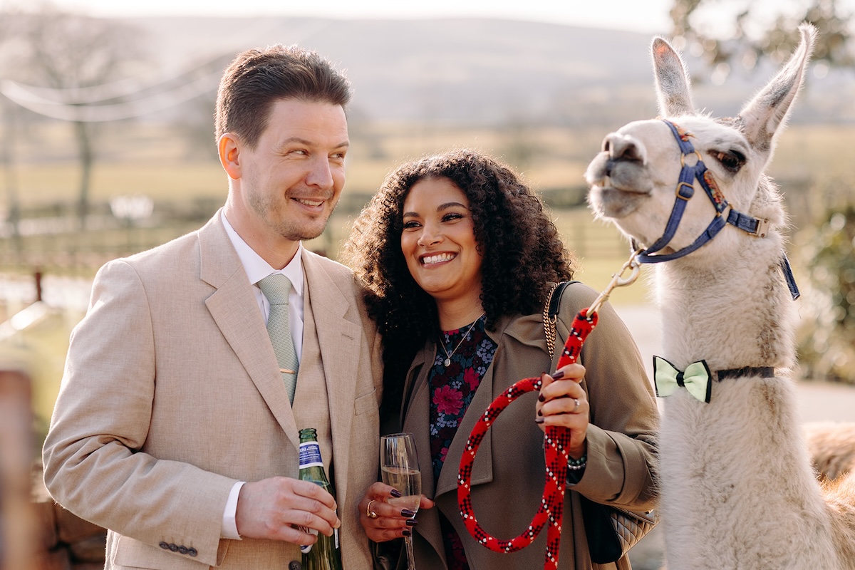 Guests standing with the llamas during the drinks reception.